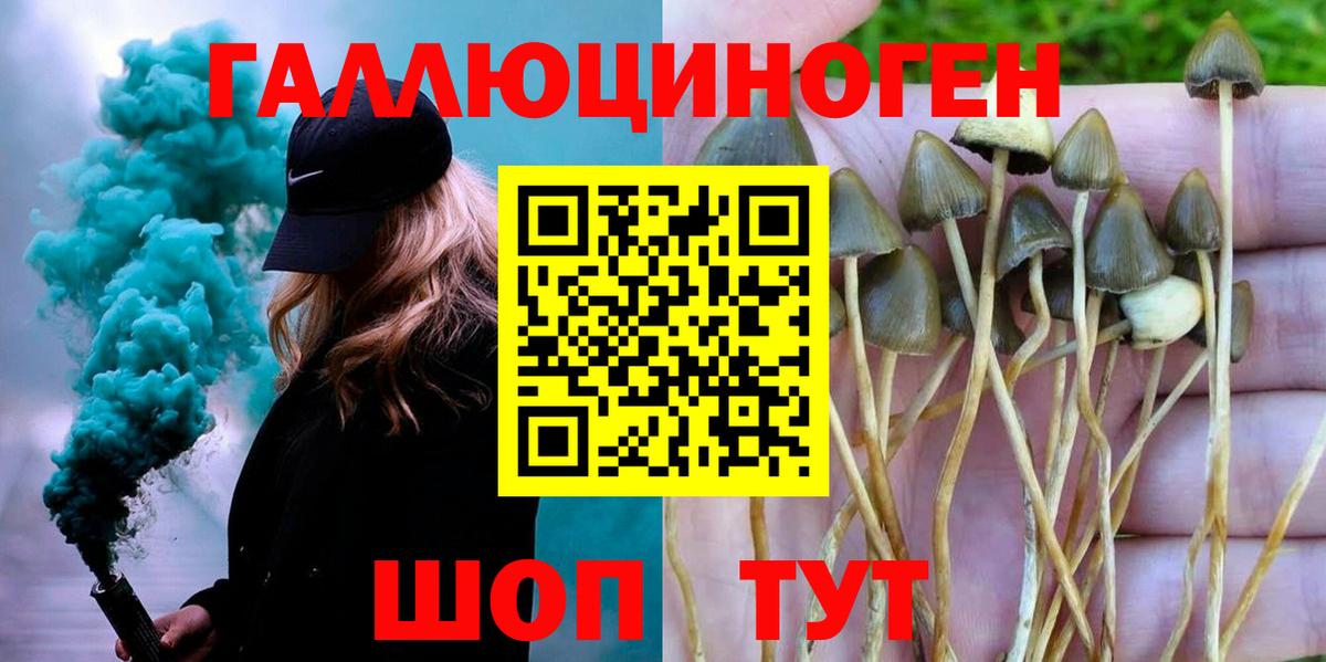 Псилоцибиновые грибы мухоморы Свободный